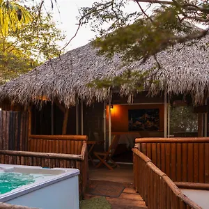 Palm Valley Campsite